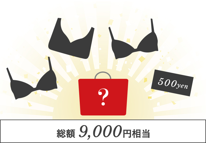 総額 9,000円相当